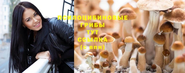 ПСИЛОЦИБИНОВЫЕ ГРИБЫ Армянск