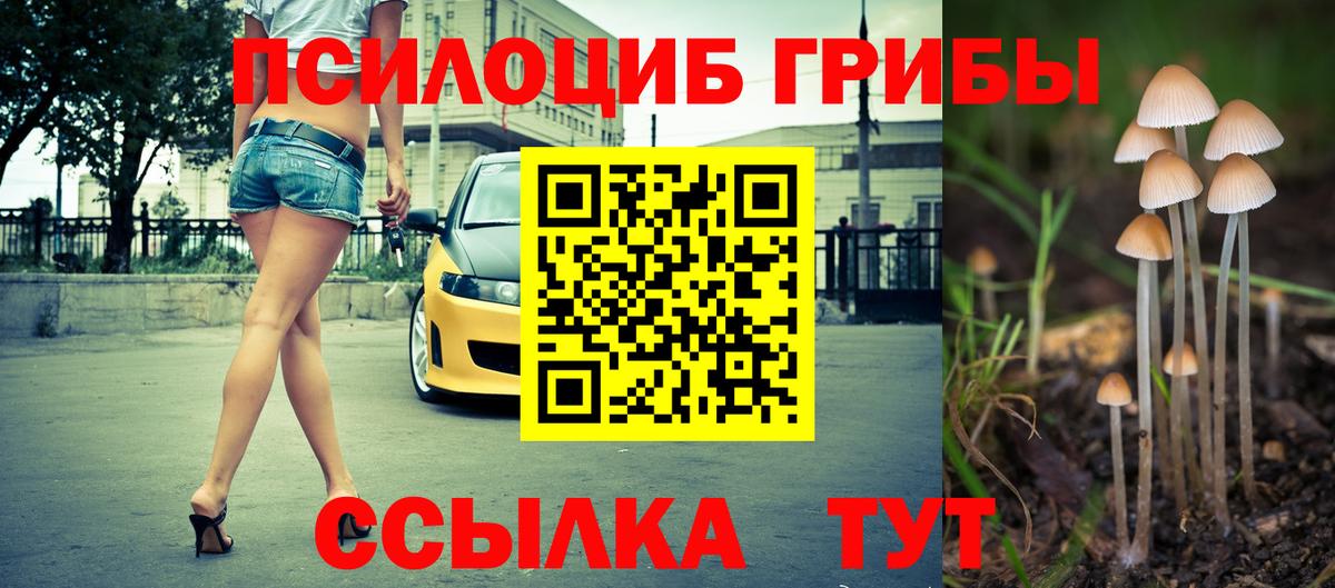 Каспийск  Галлюциногенные грибы Psilocybe  Вход с VPN 